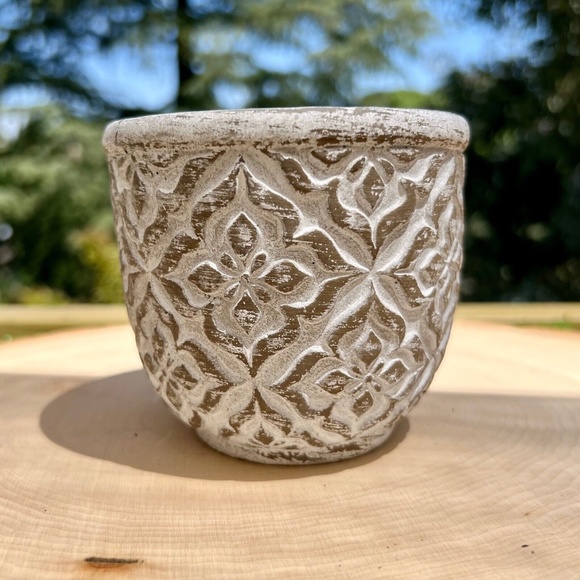 Succulent Planter - Indoor/Outdoor Cement Plant Pot Gardening Gift - Picture 2 of 3